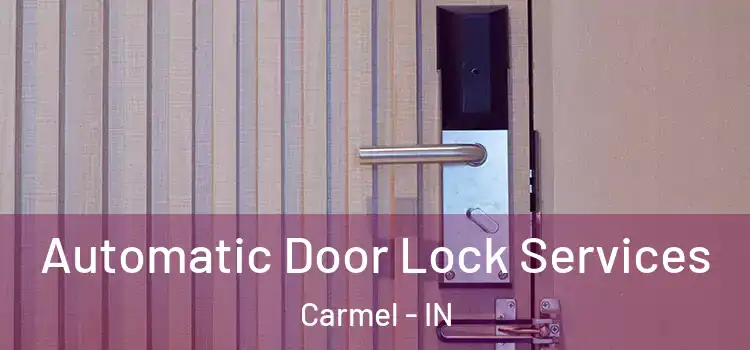  Automatic Door Lock Services Carmel - IN