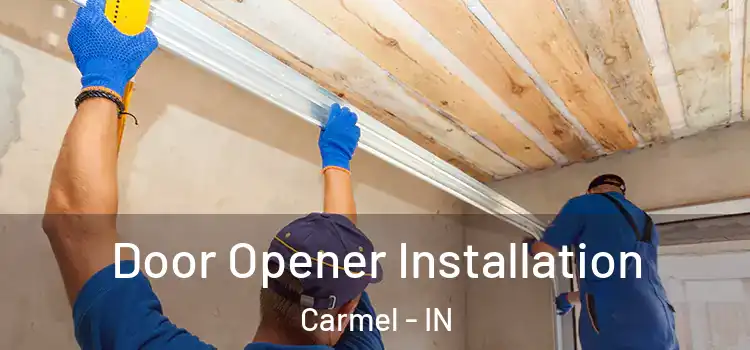  Door Opener Installation Carmel - IN