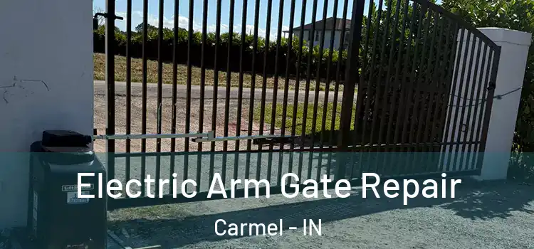  Electric Arm Gate Repair Carmel - IN