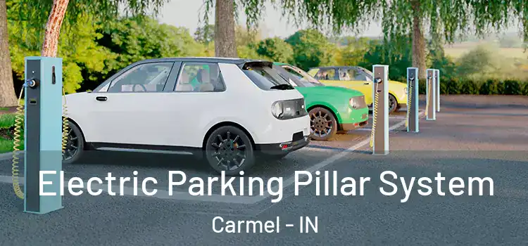  Electric Parking Pillar System Carmel - IN