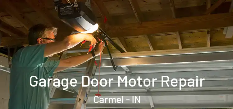  Garage Door Motor Repair Carmel - IN