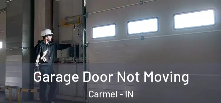  Garage Door Not Moving Carmel - IN