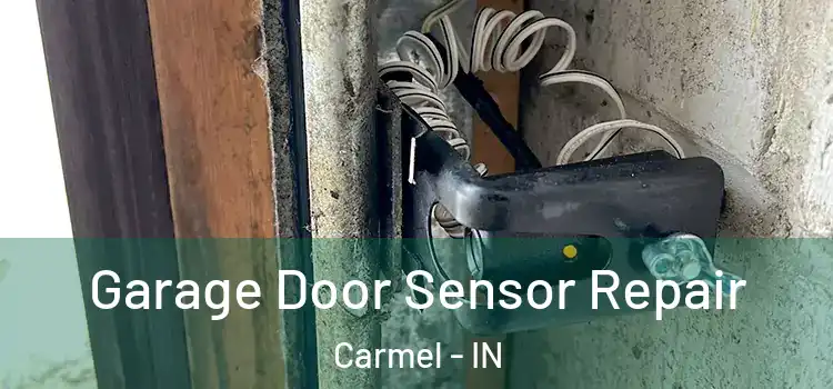 Garage Door Sensor Repair Carmel - IN