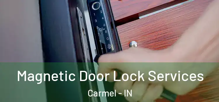  Magnetic Door Lock Services Carmel - IN