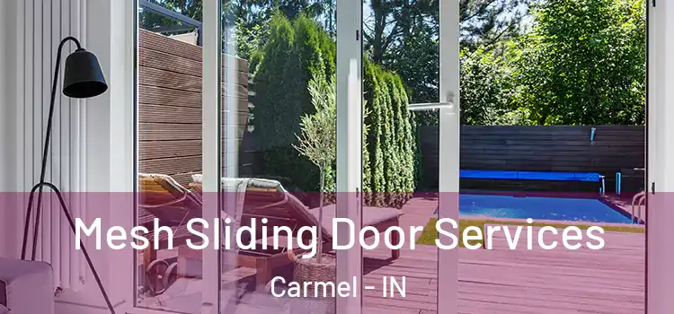  Mesh Sliding Door Services Carmel - IN