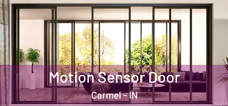  Motion Sensor Door Carmel - IN