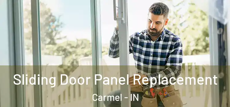  Sliding Door Panel Replacement Carmel - IN